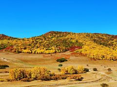 -塞罕坝国家级自然保护区