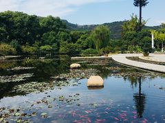 -白马涧龙池景区