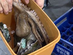 -真情鲍鱼海鲜汤