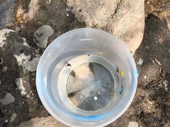 -碓臼峪自然风景区