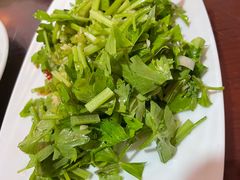 -范记靖远羊羔肉(博物馆店)