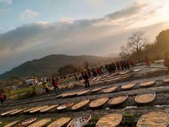 -塔川景区