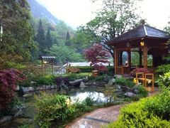 -黄山温泉国际旅游度假区