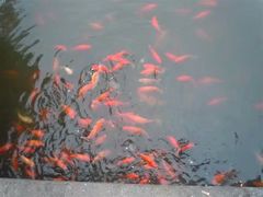 -兰剑驾校(汉阳校区)