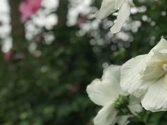 -苏州河梦清园环保主题公园