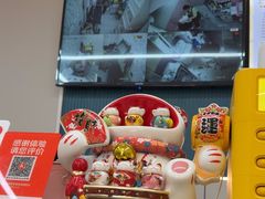 -唐小姐の私宠·宠物洗护美容·撸猫馆·购宠(周浦万达旗舰店)