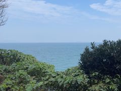 -美人鱼悬崖海景餐厅(鹿嘴山庄店)