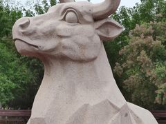 -永定河休闲森林公园