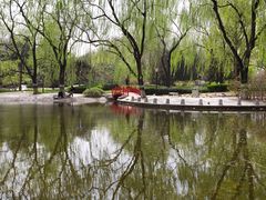 -玲珑塔公园