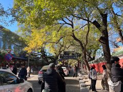 -北京国子监胡同