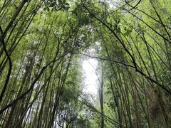-马岭河峡谷风景区