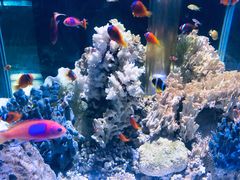 -乌鲁木齐海洋馆