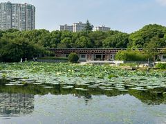 -蠡湖大桥公园