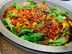 -黔渔翁豆花渎鱼(喷水池店)