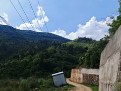 -长虫山生态公园风景林