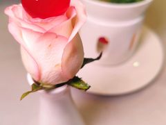-虹御轩·传承江浙菜(虹桥店)