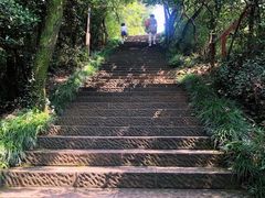 -杭州半山国家森林公园