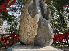 -广州市帽峰山景区