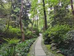 -杭州植物园