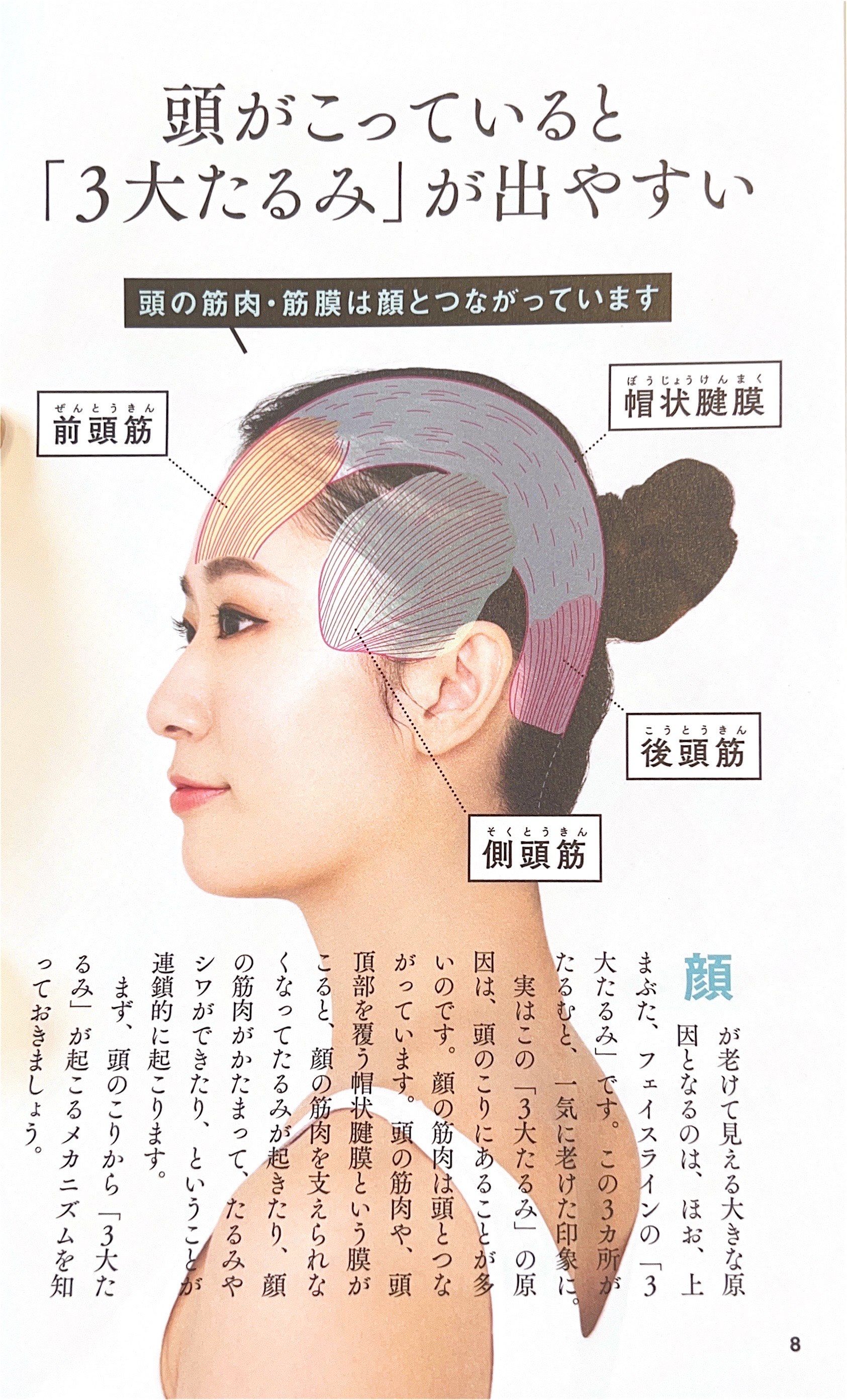 张力就能被释放,从而使得骨骼的核心设计能够在柔和无痛的状态下进行