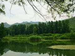 -百里山水画廊