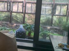 -Local泰莲庭(虹鳟鱼店)