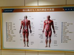 -通透堂中医·精准推拿(旗舰店)