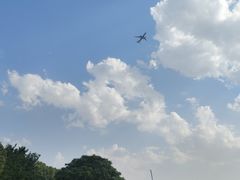 -上海鲜花港