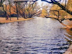 -上海共青森林公园