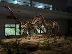 -自贡恐龙博物馆