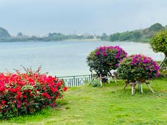 -露天矿生态公园