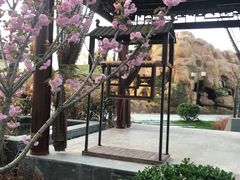 -中华郡温泉