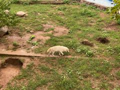 -西霞口神雕山野生动物世界