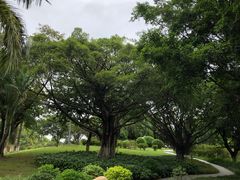 -东莞植物园