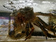 -鱼乐轩海鲜专门店