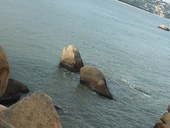 -那琴半岛地质海洋公园