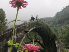 -鹿亭中村
