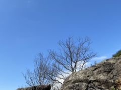 -椰风寨