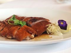-宝丽轩中餐厅BAOLIXUAN