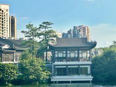 -荔湾湖公园