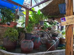 -Jungle Kitchen
