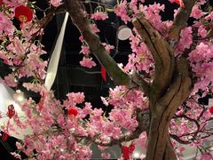 -宝月楼·台湾菜馆(天河城店)