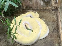 -上海大自然野生昆虫馆(东方明珠·爬宠昆虫探索中心)