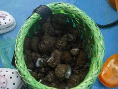 -阿弟特色海鲜餐厅·大排档(平潭店)