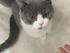 -申普宠物医院·眼科·心内科·影像科(普陀分院)
