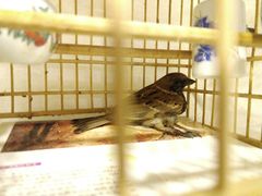 -雨林宠物医院 非犬猫异宠专科