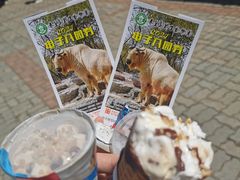 -秦皇岛野生动物园