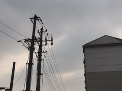 -金枫锅贴(滨江·凯旋门店)