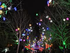 -南宫五洲植物乐园