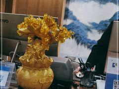 -成都蓝城悦杏温泉美食酒店(宽窄巷子店)